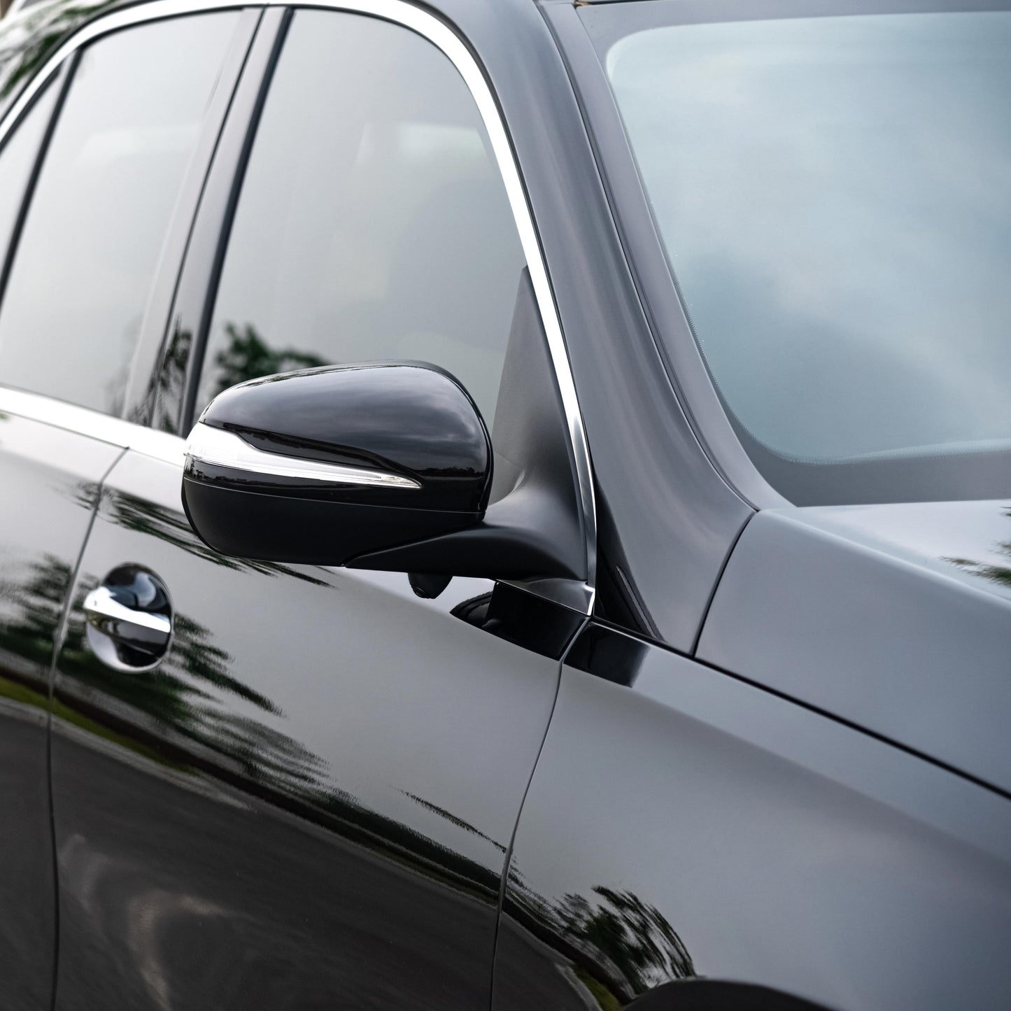 TPU Paint Protection Film -- Sample